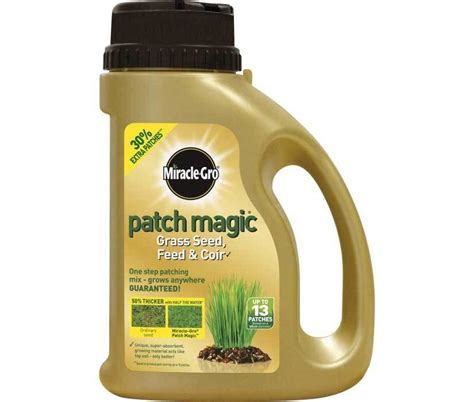 Say Goodbye to Weeds: Black Magic Grass Seed Creates a Dense, Weed-Resistant Lawn